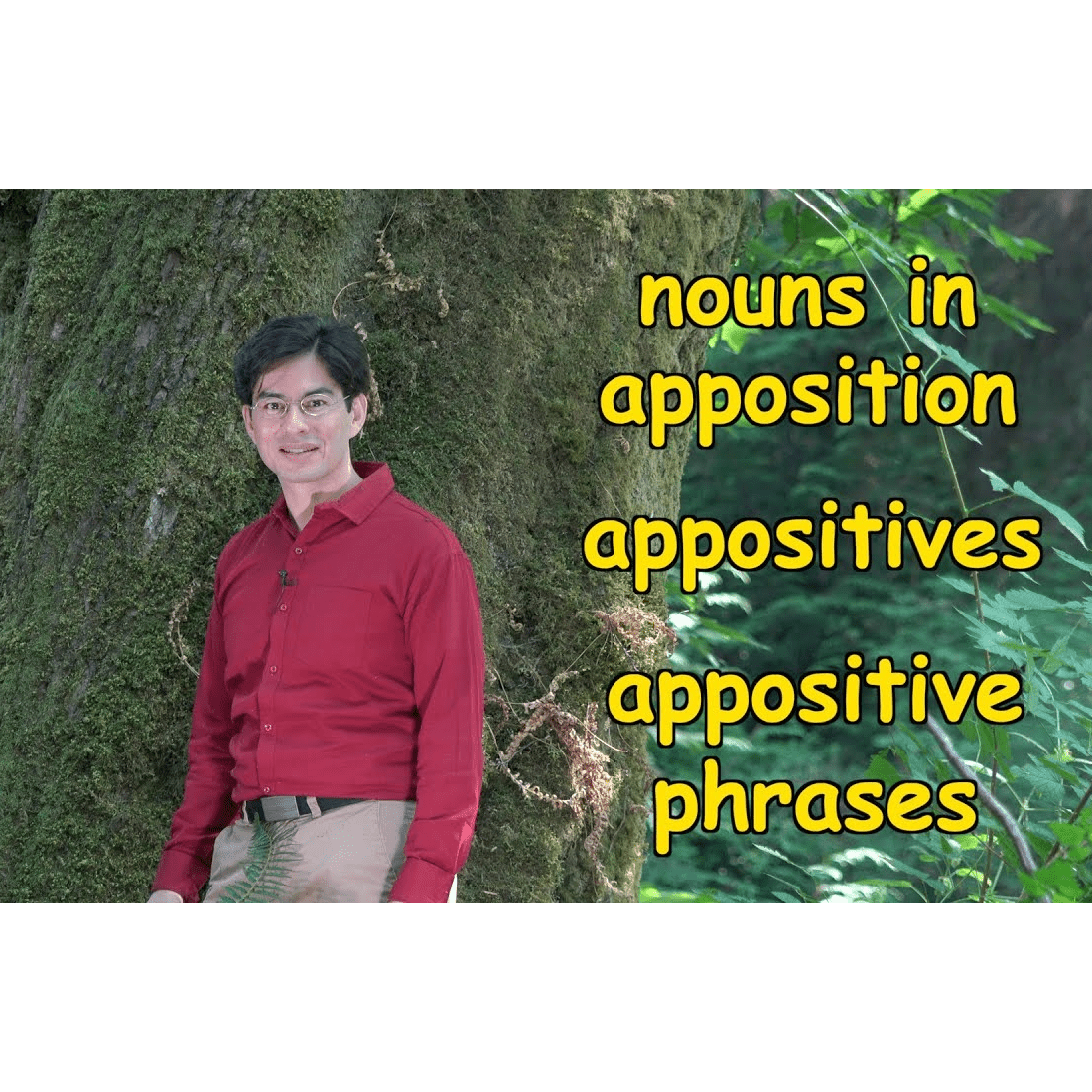 Nouns In Apposition Worksheet