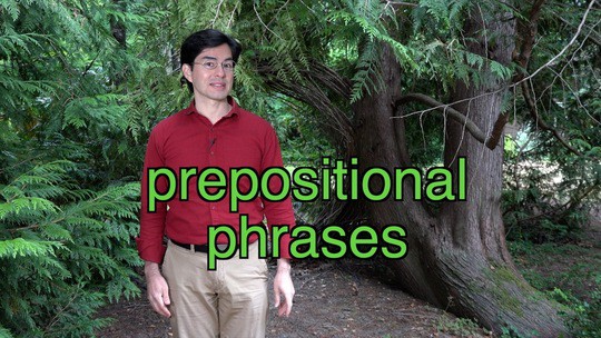 prepositional phrases